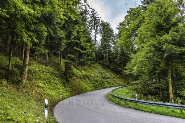 Teerstraße, die sich durch eine üppige grüne Landschaft mit Frühlingswald in einem Alpental