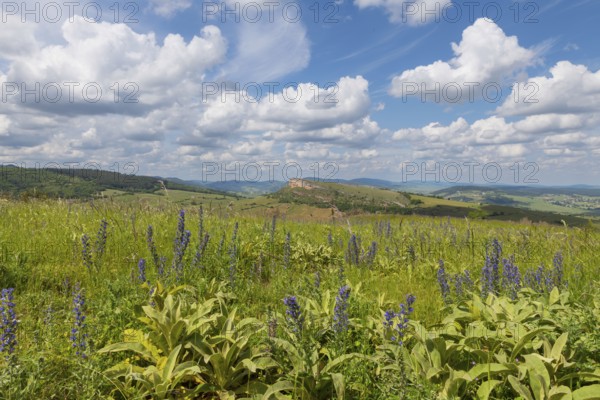 Environment of La Roche de Solutre with vineyards, and the giant rock to climb on the background,