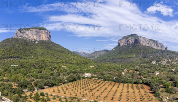 Puig del Castell d'Alaró 822 m and Puig d'Alcadena 817 m, Alaro, Majorca, Balearic Islands, Spain,