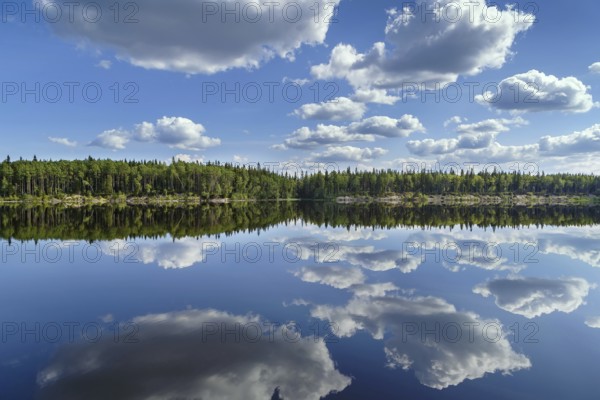 Landscape with a symmetrical reflection on the Vyg river (part of the White Sea-Baltic Canal),