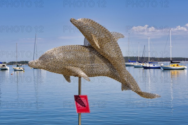 Stainless steel chain sculpture, Harmony, Dolphin Family, by Mike Van Dam, Soldiers Point, NSW,