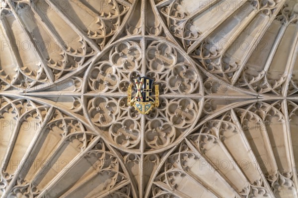 St Davids, United Kingdom, 28 August, 2022: close-up view of the woodwork ceiling and cathedral