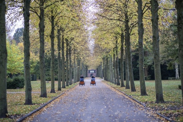 Copenhagen, Denmark, October 27, 2022: People in a tree alley on Vestre Cemetery during autumn,