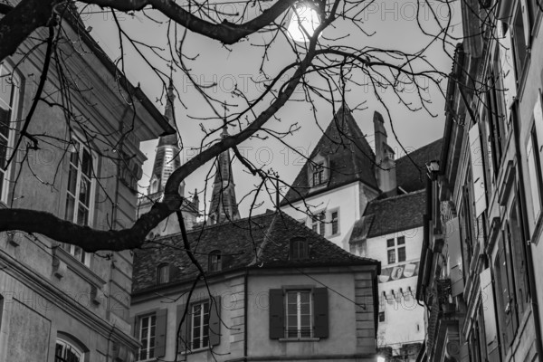 Tree Branch and Street in Old Town with House and Cathedral Tower in Sunset in City of Neuchatel,