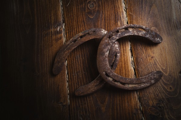 Equestrian background. Lucky old horseshoes laying at wooden background