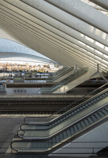 Liège, Liège-Guillemins railway station, design 2009 Santiago Calatrava, station concourse with