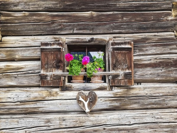 Old vintage wooden window with geranium flowers in the small alpine village Tauplitz, a famous
