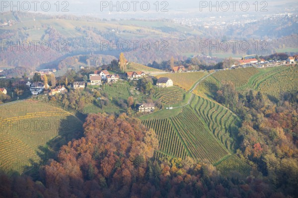Autumn atmosphere in the evening light, forest with foliage colouring, hilly landscape, vineyards,