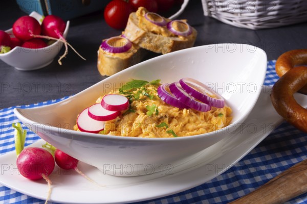 The perfect Bavarian Obazda with radishes and onions