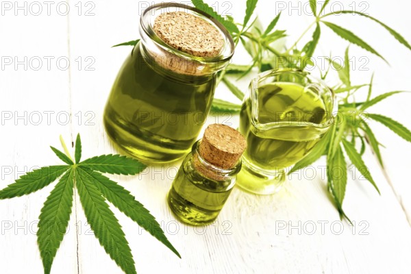 Hemp oil in two glass jars and sauceboat, leaves and stalks of cannabis on the background of wooden
