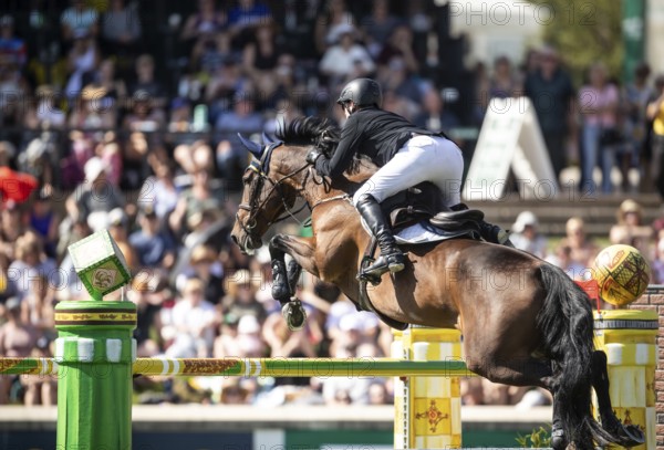 Daniel Coyle of Ireland and riding Legacy compete in the first round of the 1.60m CPKC