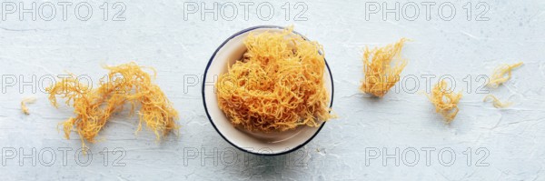 Irish sea moss panorama. Chondrus Crispus, healthy organic raw seaweed, overhead flat lay panoramic