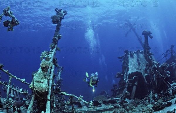 Diver explores unknown shipwreck, Egypt, Zabargad, Zabarghad, Red Sea, Africa