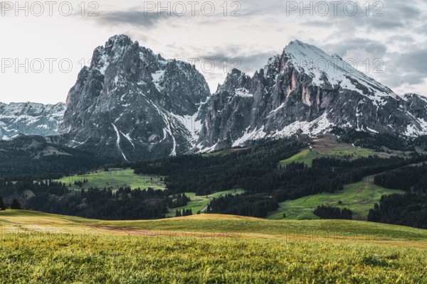 Panoramic view of the Langkofel Group from Seiser Alm in the Dolomites in South Tyrol, Italy,