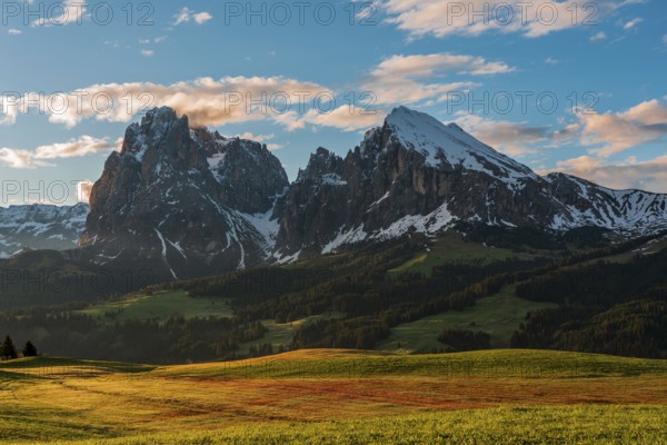 Panoramic view of the Langkofel Group from Seiser Alm in the Dolomites in South Tyrol, Italy,