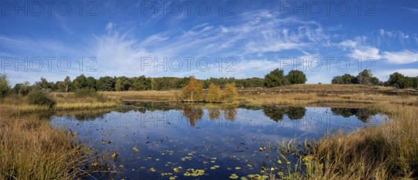 The Rolvennen is a beautiful lake in the Dutch National Park Meinweg close to the city Roermond in