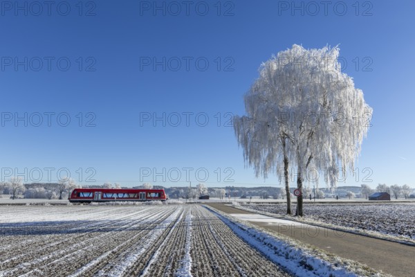 Red train travelling through snow-covered fields next to an icy tree under a clear sky, hoarfrost