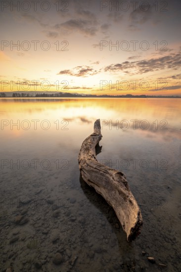 A tree trunk lying in the shallow water of a lake with a colourful sunset in the background,