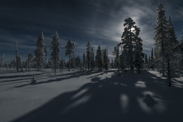 Moonlit winter landscape, Muddsus Nationalaprk, Laponia World Heritage Site, Lapland, Sweden,