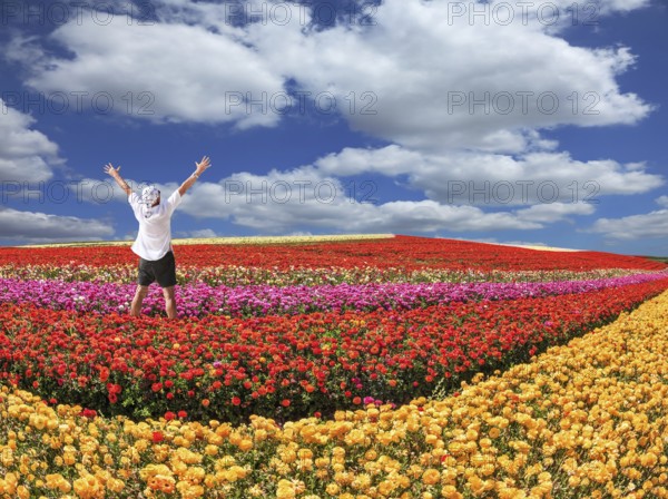 Enthusiastic tourist threw up his hands. Bright festive red blooming field of buttercups. Warm