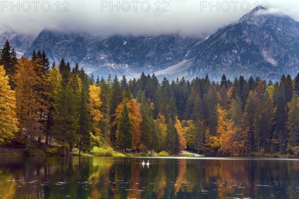 The Dolomites are covered with clouds. Orange and yellow trees are reflected in the green smooth