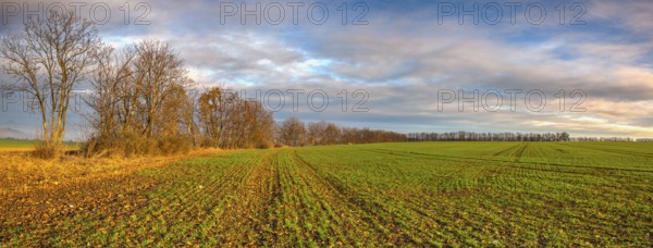 Autumn morning landscape over the city of Louny. Autumn sown field at amazing sunrise. Czech