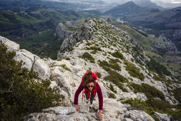 Hiker ascending Puig Galatzo, dry stone path, GR221, Calvia, Natural area of the Serra de