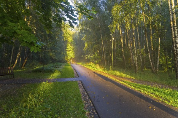 Moscow, Russia, August 28, 2020: People walk along a footpath in a forest park, beautifully lit by