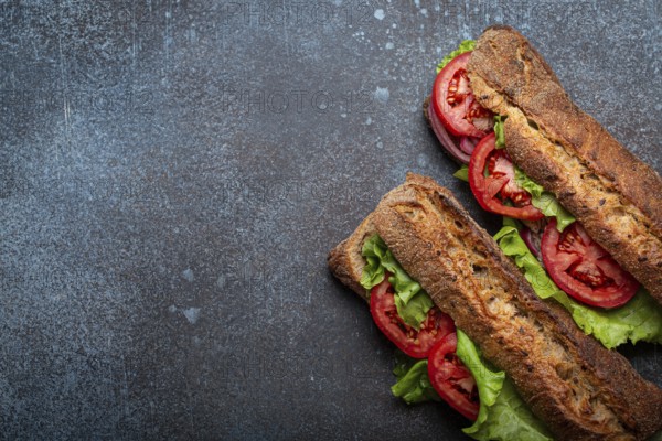 Two dark ciabatta sandwiches with green salad, ripe red tomatoes, onion and tuna on rustic concrete