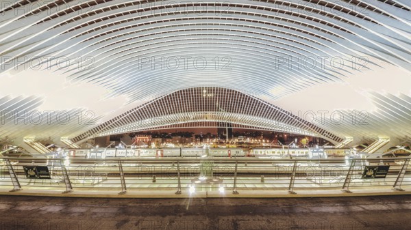 Wide, illuminated station interior at night, characterised by modern structures, Liège-Guillemins