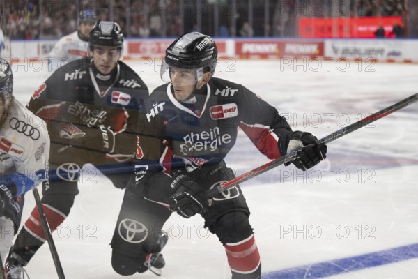 LanxessArena, North Rhine-Westphalia, Robin van Calster (Cologne Sharks, #5), PENNY DEL, Cologne