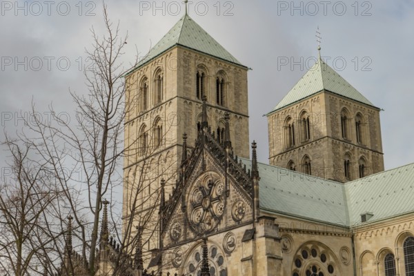 Two gothic towers of the cathedral rise behind a leafless tree under a cloudy sky, Münster,