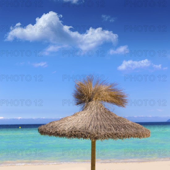 Majorca Platja de Muro beach in Alcudia bay in Mallorca Balearic islands of Spain