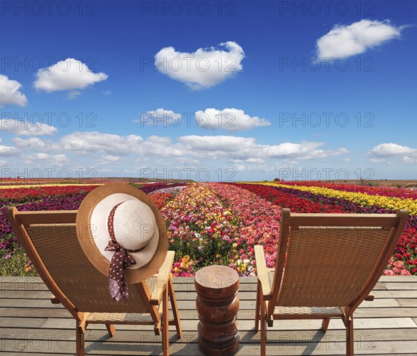 Two chaise lounges for rest stand on a scaffold at a picturesque flower field. On one chaise lounge