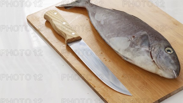 A horseface unicorfish or naso fageni fish and a knife on a wooden cutting board ready for cooking