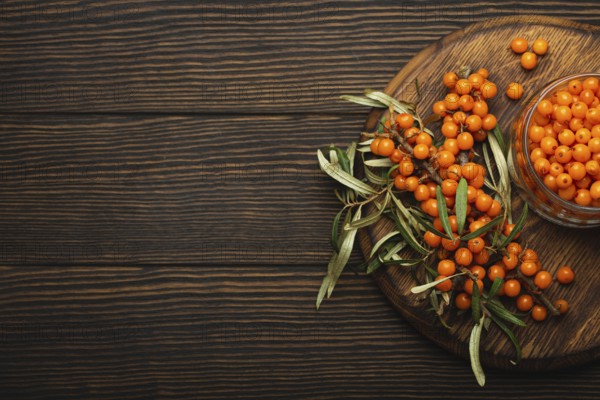 Sea buckthorn ripe berries in glass jar and branches with leaves top view on dark wooden rustic