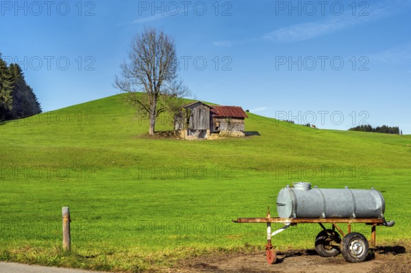 Barn on a green meadow, water tank as a cattle trough, blue sky, near Muderbolz Allgäu, Bavaria,