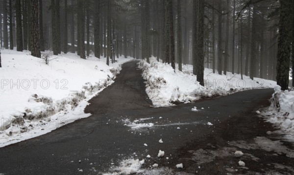Winter forest landscape with mountain covered in snow and empty frozen road. Troodos mountains in