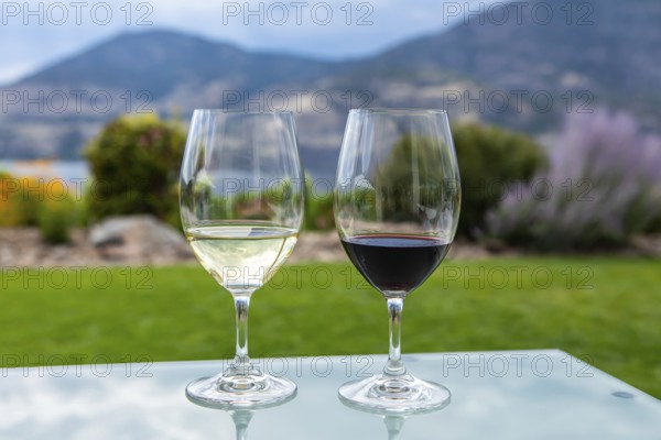 Pair of wine glasses filled with red and white wines, selective focus and close up view against