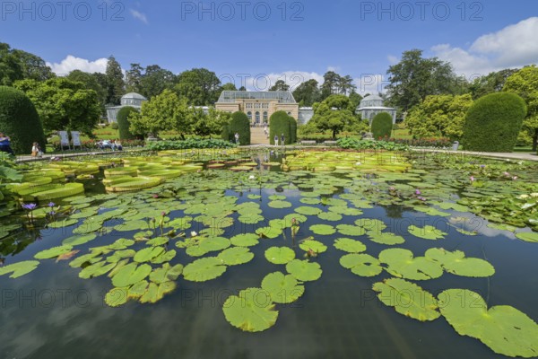Water lily pond, behind the Moorish country house with greenhouses, Wilhelma, Zoological-Botanical