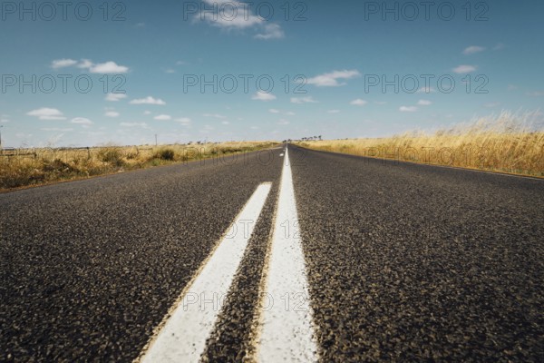 Asphalt road on Westen Australia .agricultural, agriculture, australia, australian, backgrounds,