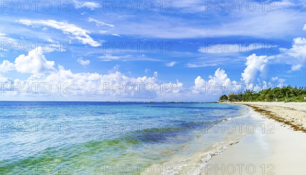 Tropical mexican beach panorama view with turquoise blue water from Playa 88 and Punta Esmeralda in