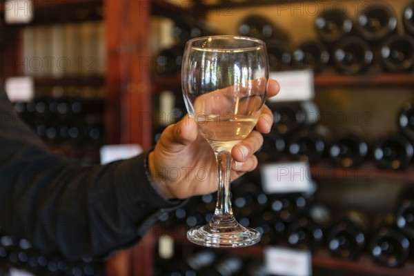 A glass of white wine on a man hand selective focus close up view against wine bottles on storage