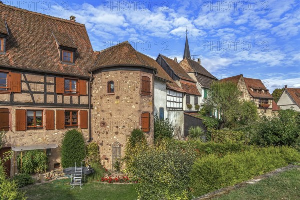 Houses on the site of the city historic fortifications in Bergheim, Alsace, France, Europe