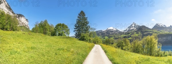 Alpine alley crossing green meadows, in the Alps mountains, on a sunny day of spring, in the canton