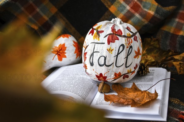 Beautiful painted autumn pumpkins. FALL writing on pumpkin. Autumn harvest. DIY. Autumn leaves