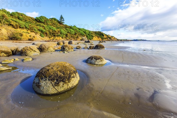 The South Island of New Zealand. Sandy beach on the Pacific Ocean. Moeraki boulders is a group of