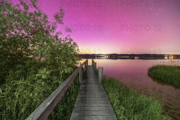 Wooden footbridge with neighbouring reed trees under a sky with aurora borealis, Reichenau, Lake