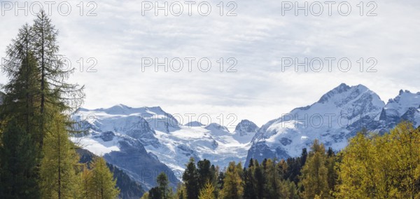 Amazing landscape in the Swiss Bernina mountains. A colourful autumnal forest in front of the
