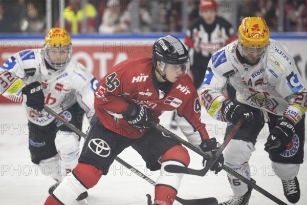 LanxessArena, Cologne, North Rhine-Westphalia, Kevin Niedenz (Cologne Sharks, #46), Dominik Uher